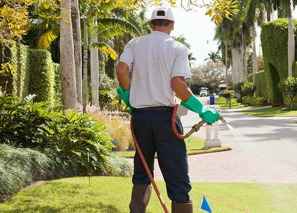 About Lecompton KS Pest Control